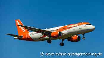 EasyJet sucht Hunderte Flugbegleiter ohne Altersobergrenze – diese Kriterien entscheiden