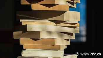 Used bookstores navigate 'suspicious' bulk orders amid AI book-shredding fears