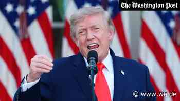 „Meinungsfreiheit gehört dem Volk“: Trumps Feldzug gegen Presse scheitert vor Gericht