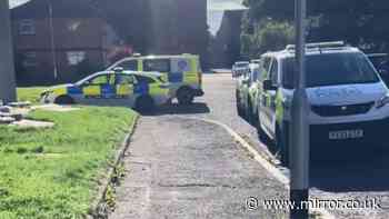 Police vans rush to Glasgow primary school after 'disturbance' as man arrested
