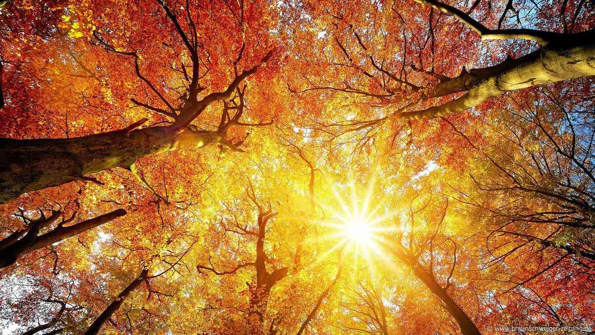 Meteorologischer Herbstanfang: Warum der Herbst zweimal im September beginnt