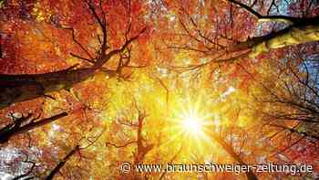Meteorologischer Herbstanfang: Warum der Herbst zweimal im September beginnt