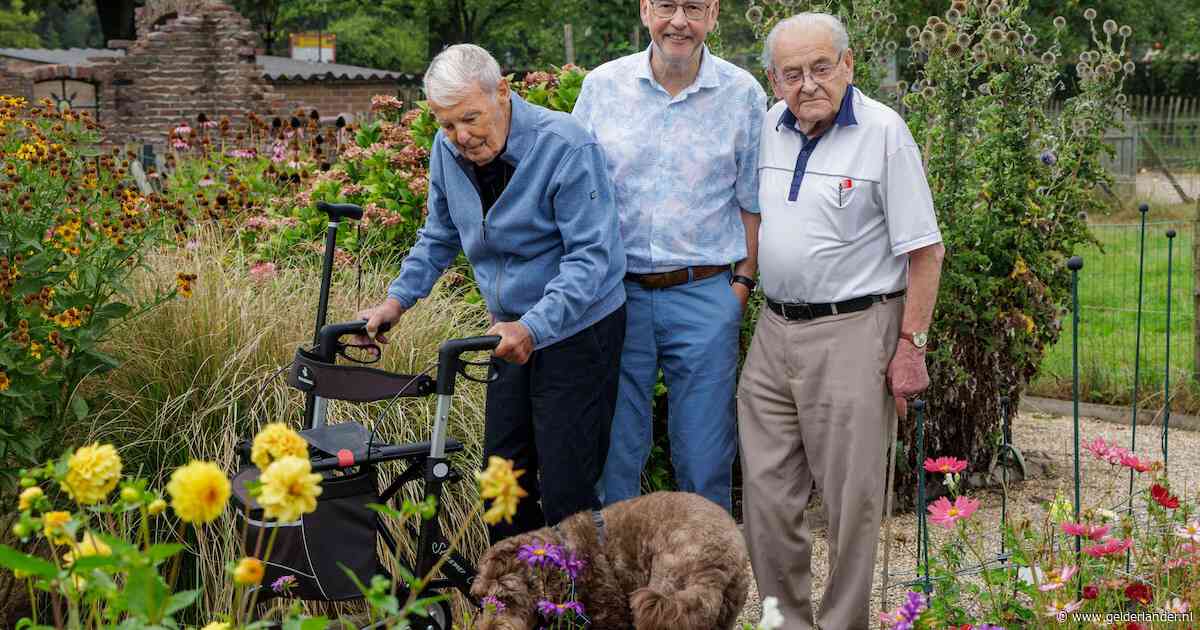 De Willemshoeve, dat is zo’n plek waar je je dementerende vader of moeder met liefde naartoe brengt