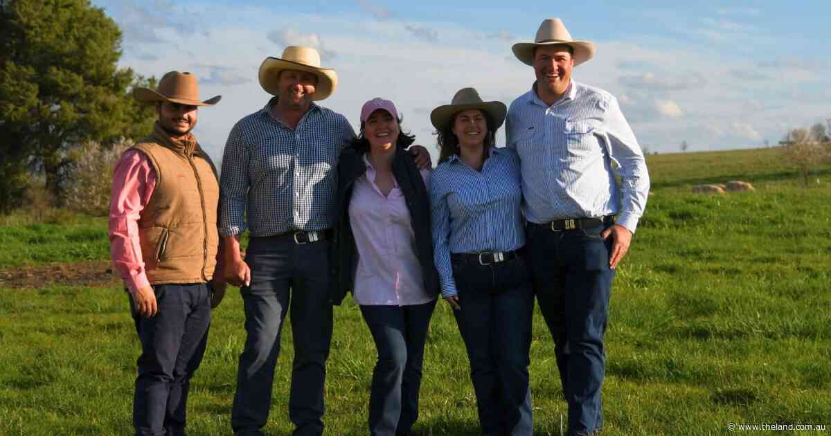 Record return for Springwaters Angus as Victorian buyers make themselves known