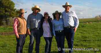Record return for Springwaters Angus as Victorian buyers make themselves known