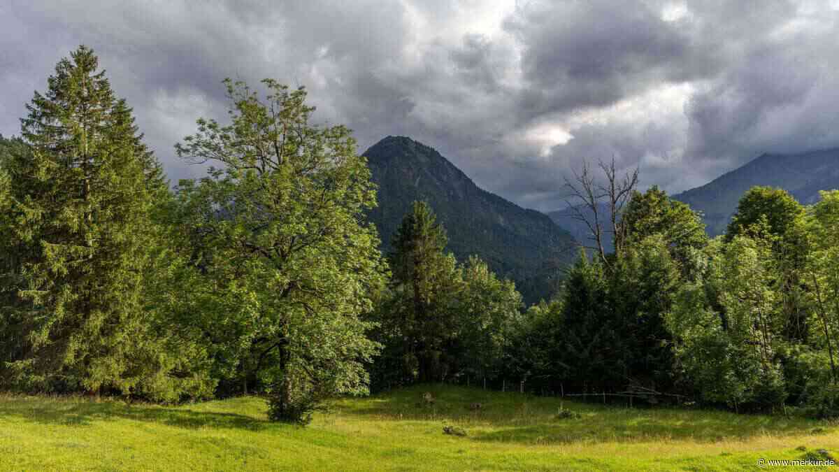 „Gib auf Ägidius wohl acht“: Alte Bauernregel will schon jetzt wissen, wie das September-Wetter wird