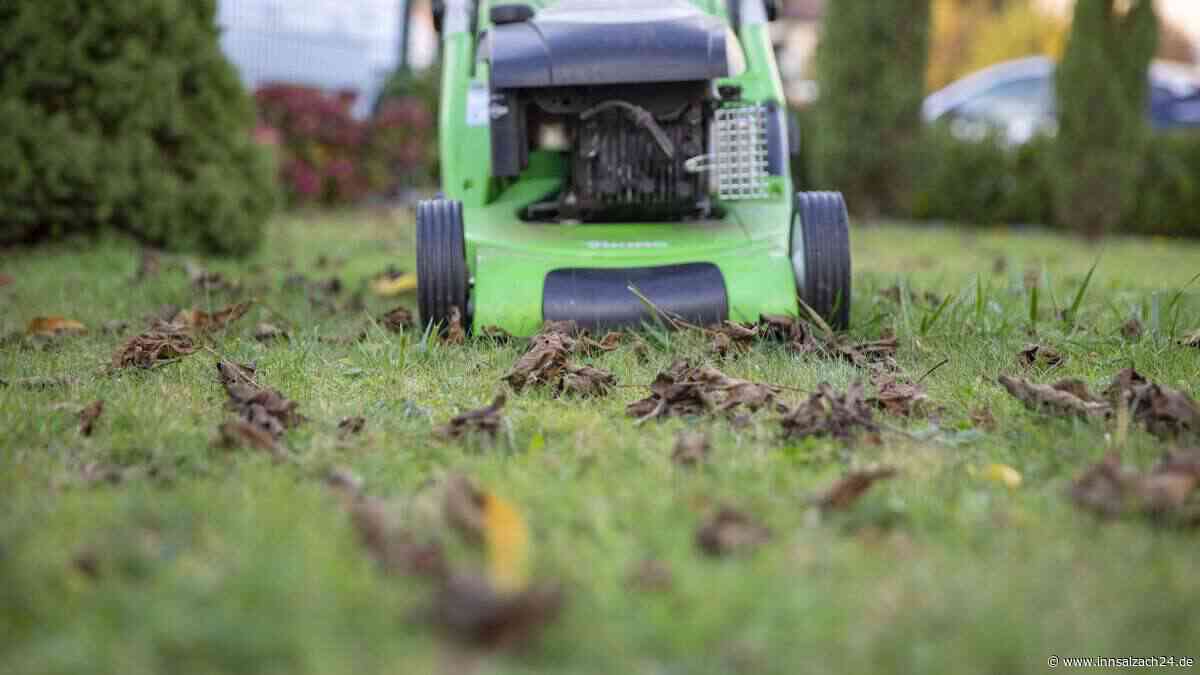 Hunderte Nachbarschafts-Streits landen in Bayern vor Gericht – aus diesen skurillen Gründen