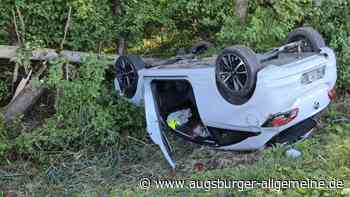 Auto kracht gegen Baum: Fahrerin und ihr Enkel haben Schutzengel