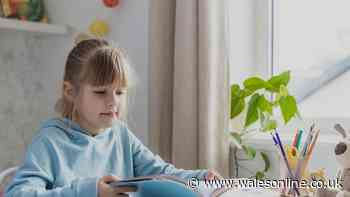Study shows children lose 20pc of 'reading gains' over long summer holiday
