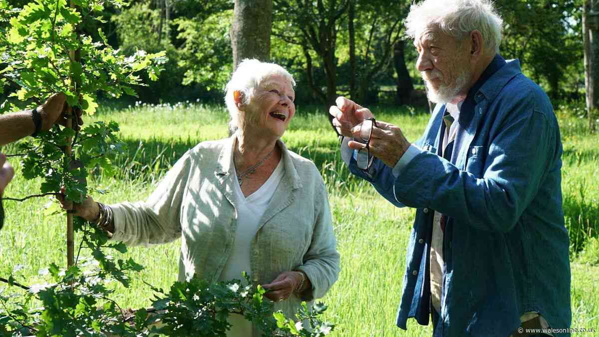 Judi Dench home: Where does the Hollywood legend live?