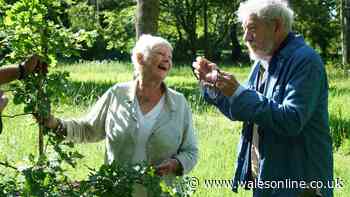 Judi Dench home: Where does the Hollywood legend live?