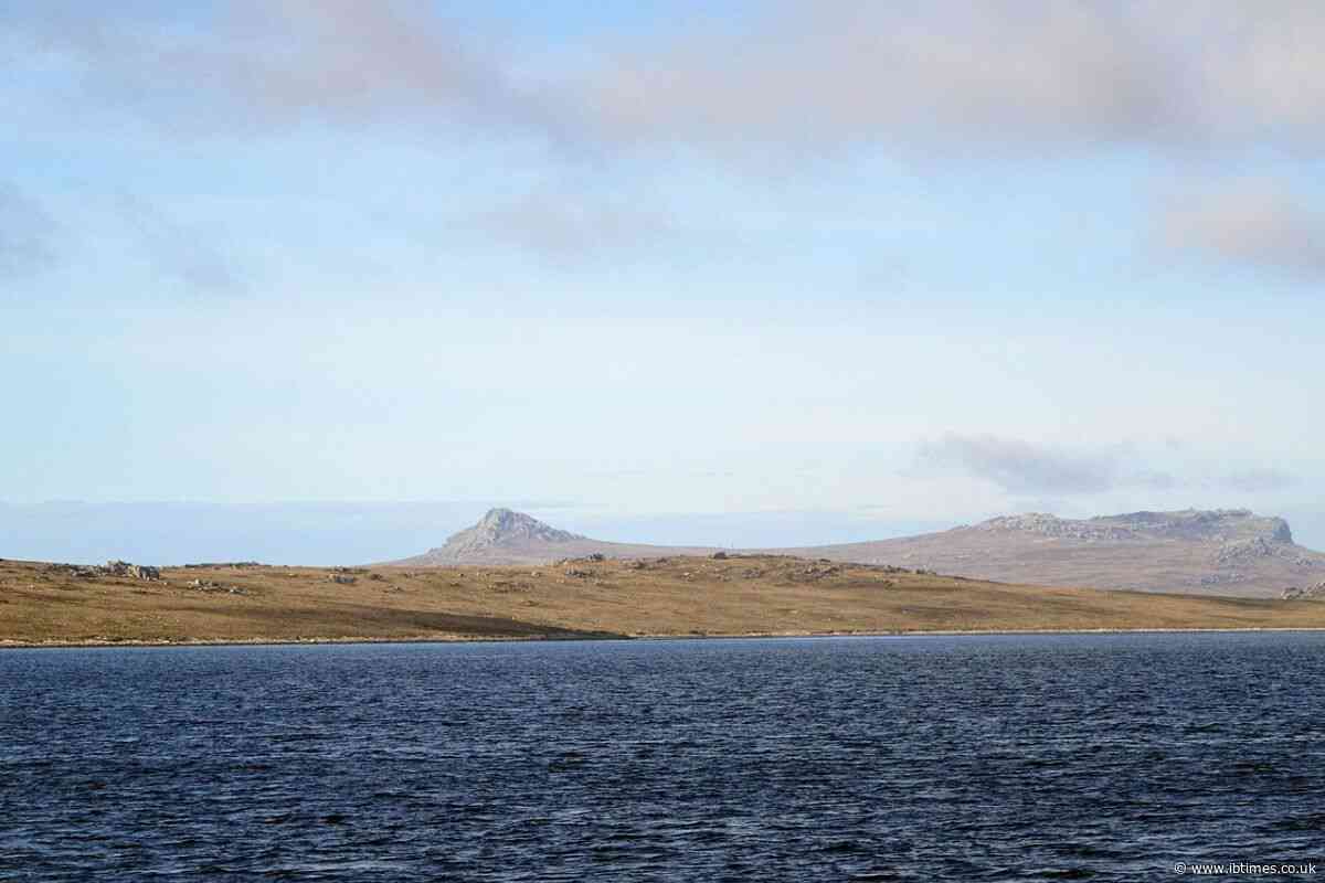 Falkland Islands Row: Britain Defends Sovereignty After Trump Signals US Policy Review