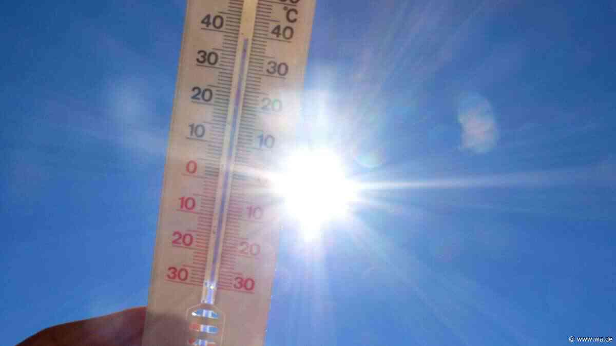 100-jähriger Kalender und Wetter-Experten einig: Dann kommt der Altweibersommer 2026