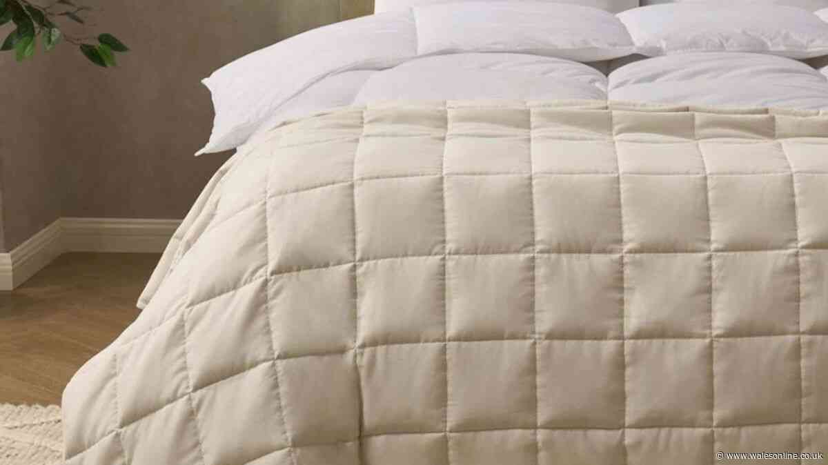 Dusk shoppers praise £25 blanket that is 'instantly relaxing' on autumn nights