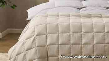 Dusk shoppers praise £25 blanket that is 'instantly relaxing' on autumn nights