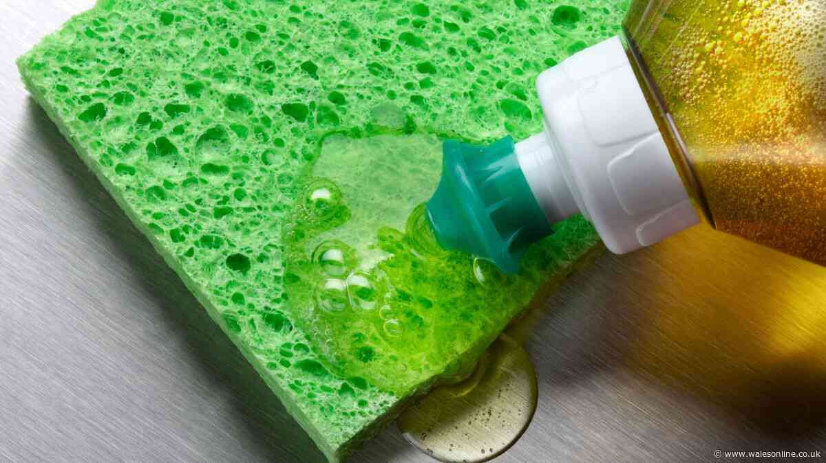 Welsh households told to pour washing up liquid down drains
