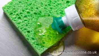 Welsh households told to pour washing up liquid down drains