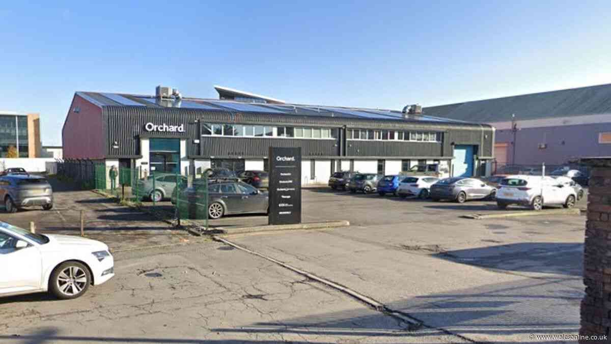 Cardiff company enters liquidation and says business 'no longer sustainable'