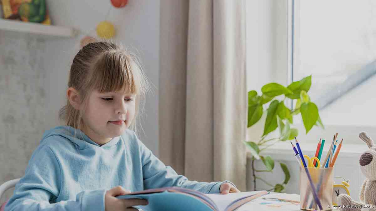 Study shows children lose 20pc of 'reading gains' over long summer holiday