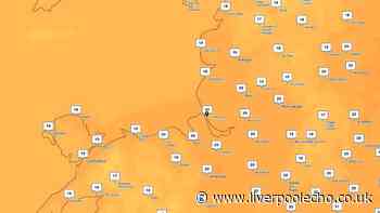 Will hot weather return in September as Met Office shares 'warm' verdict?