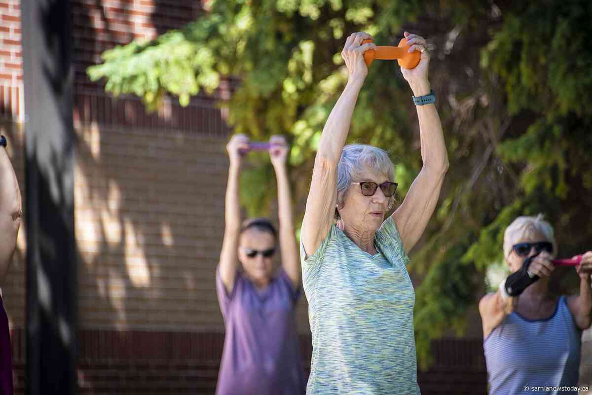 Fall 2026 Recreation Guide sneak peek: German lessons, golf, and Casa Loma trip featured