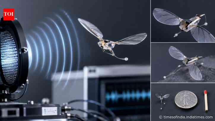 Swiss scientists build tiny flying robots using sound waves to generate thrust
