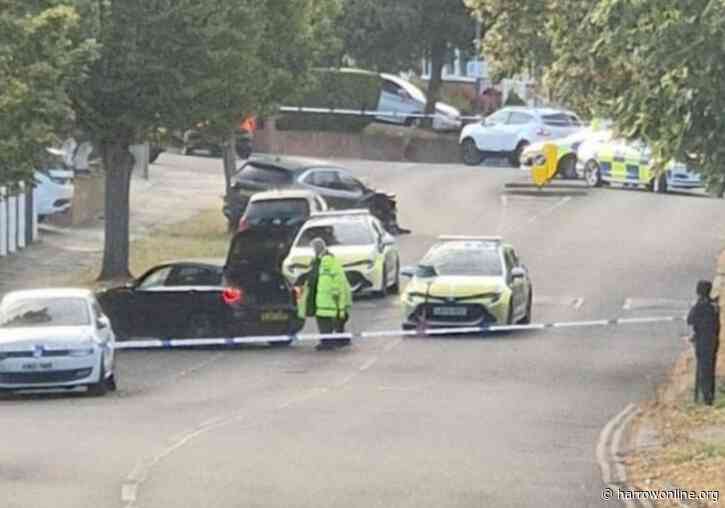 Man, 25, arrested after car crashes into tree during police pursuit in Wembley