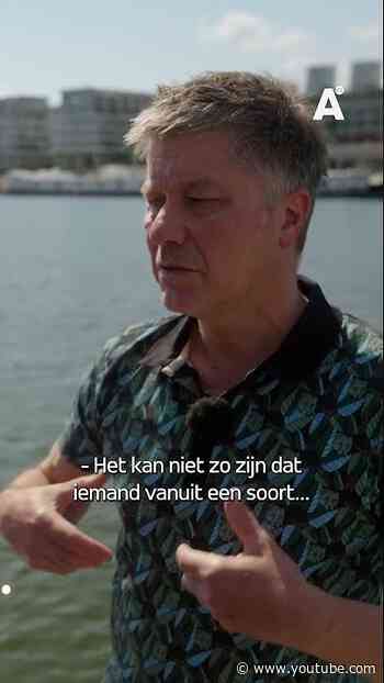 De strijd om de Borneosteiger