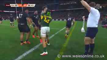 Angry Springboks star accused of 'blatant thuggery' as All Black rival weighs in