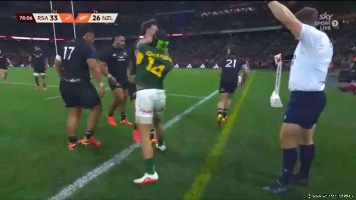 Angry Springboks star accused of 'blatant thuggery' as All Black rival weighs in