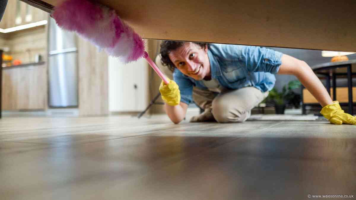 Keep spiders out of your home with easy household task