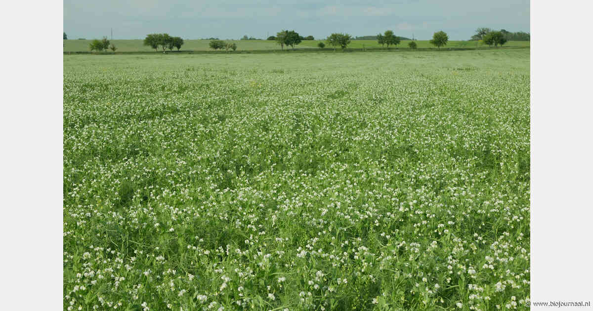 Hogere eco-vergoeding bij 386 dossiers na herbeoordeling