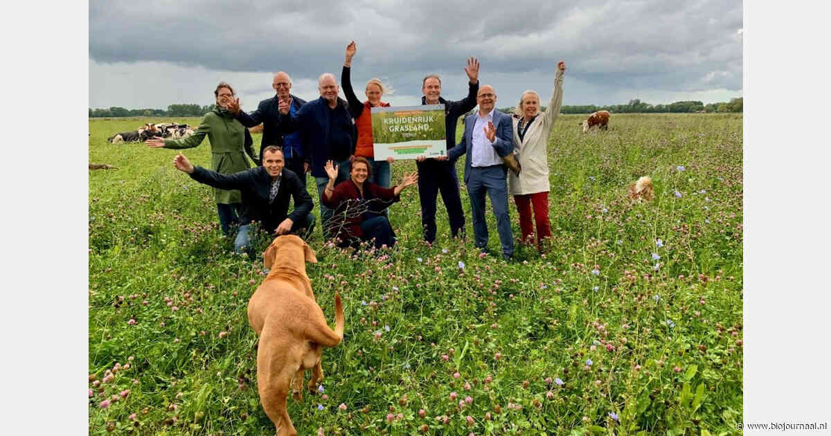 Biologische melkveehouderij Edzemaheerd decor voor start kruidenrijk zaaiseizoen