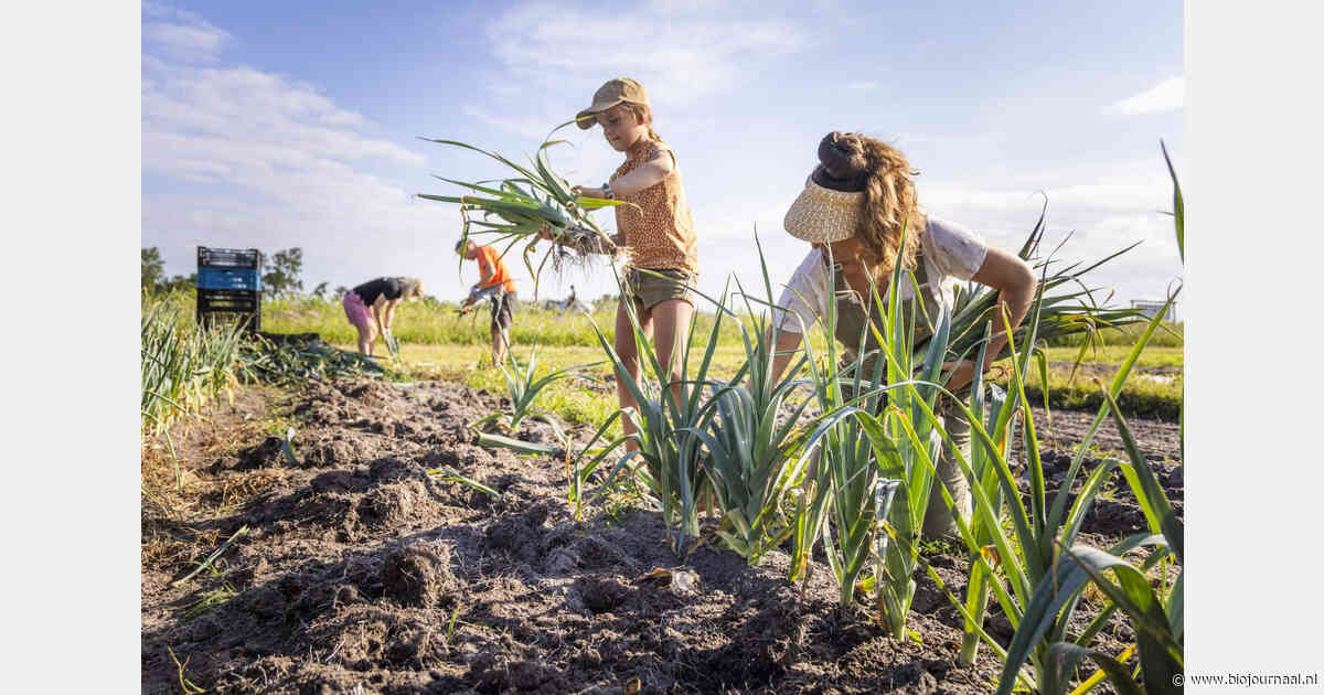 GroenGezond lanceert platform voor lokaal voedsel zonder gewasbeschermingsmiddelen