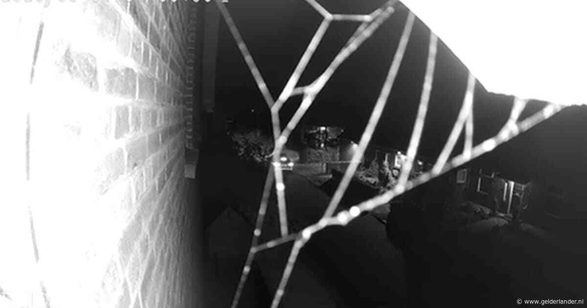 KIJK | Camera filmt flink aantal schoten in Overasselt