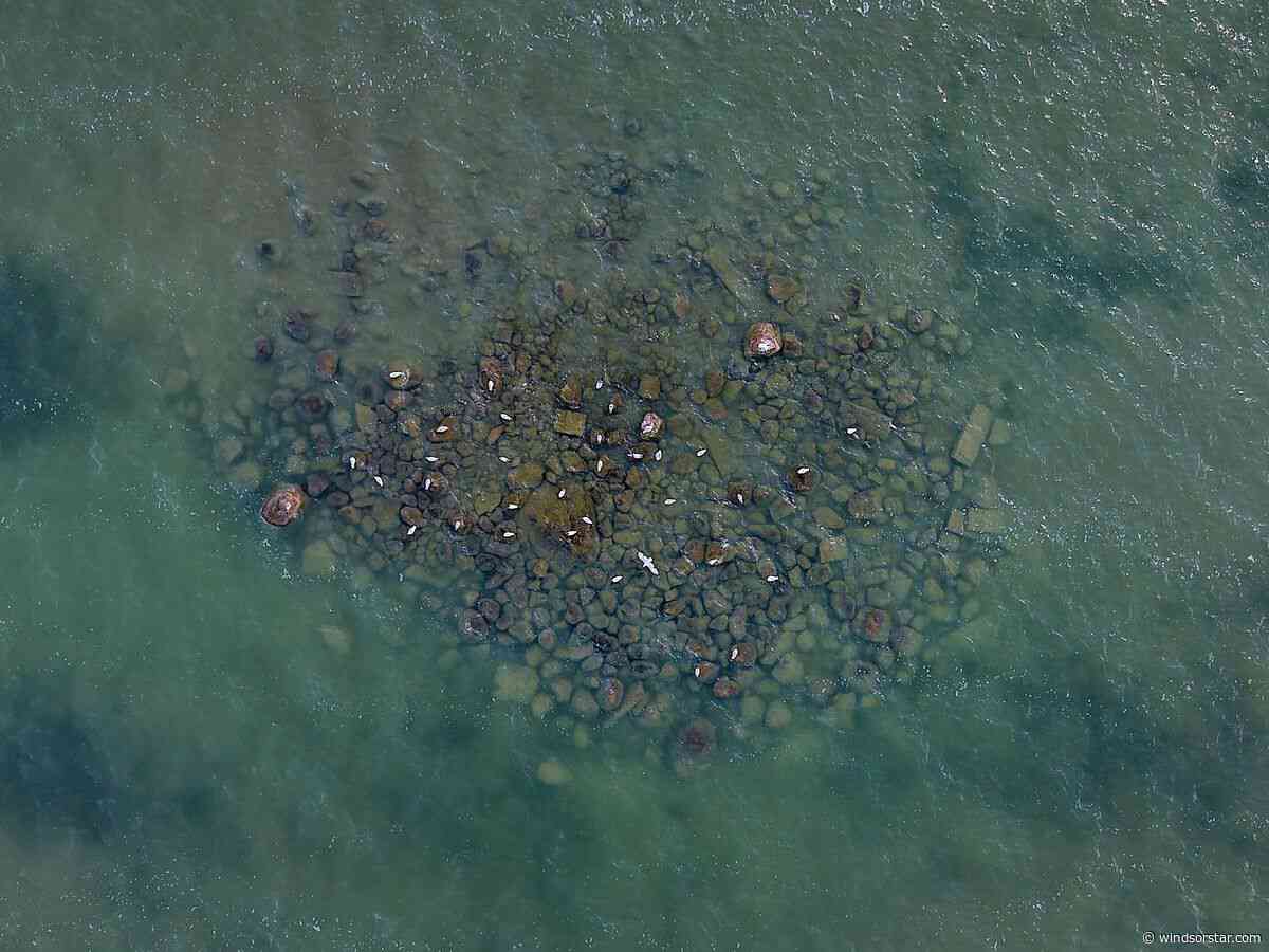 Jet ski crash renews calls to remove Lake St. Clair rock hazard