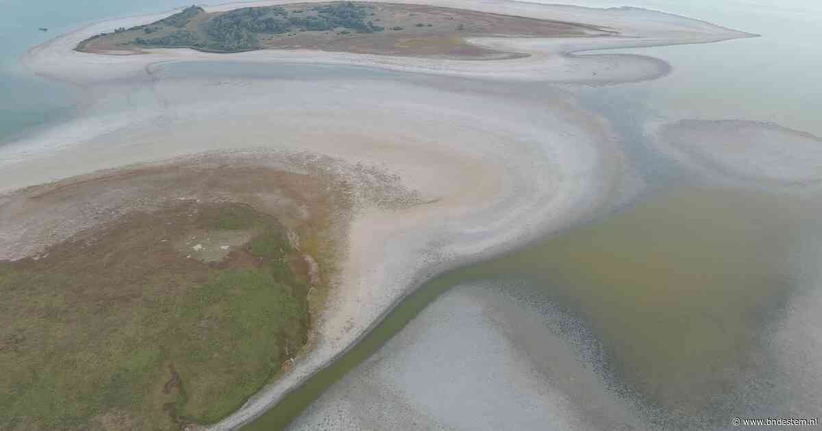 Na de regen is het waterprobleem weer even vergeten, maar de schade is doodeng