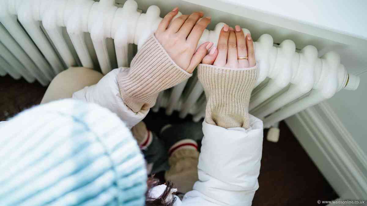 Everyone in Wales urged to do two-minute radiator task before switching them on