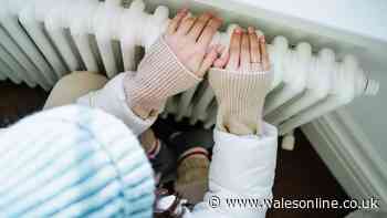 Everyone in Wales urged to do two-minute radiator task before switching them on