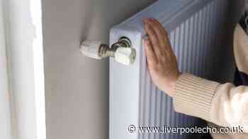 Two-minute radiator leak check every homeowner should do before turning heating on