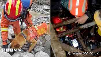 Rescue efforts continue on both sides of Nepal-Tibet border