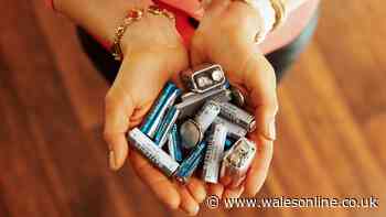 Binman explains whether batteries should be put in waste or recycling bins