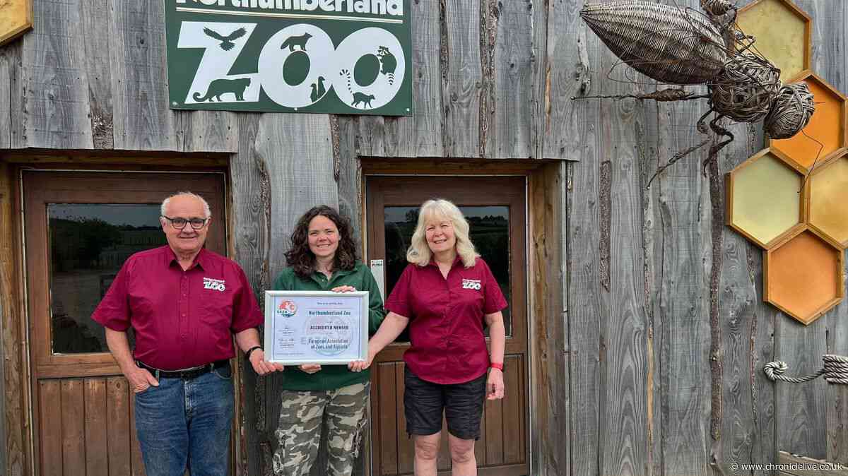 Family-run Northumberland Zoo celebrates new chapter with exciting opportunities for future species