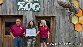 Family-run Northumberland Zoo celebrates new chapter with exciting opportunities for future species