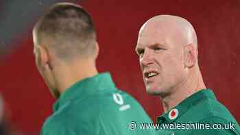 Ireland legend Paul O'Connell almost killed team-mate before his life fell apart