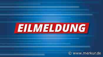 TSV 1860 darf ikonisches Löwen-Wappen wieder verwenden