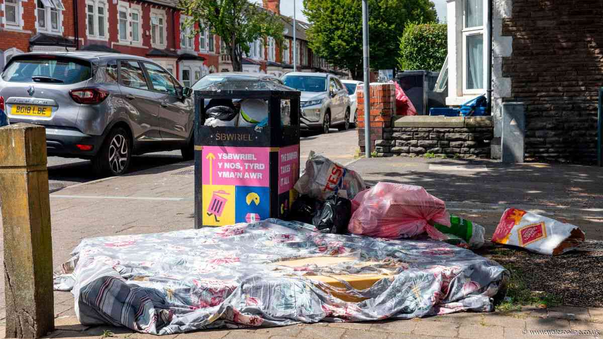 Cardiff council brings in 68 more staff to search through bins