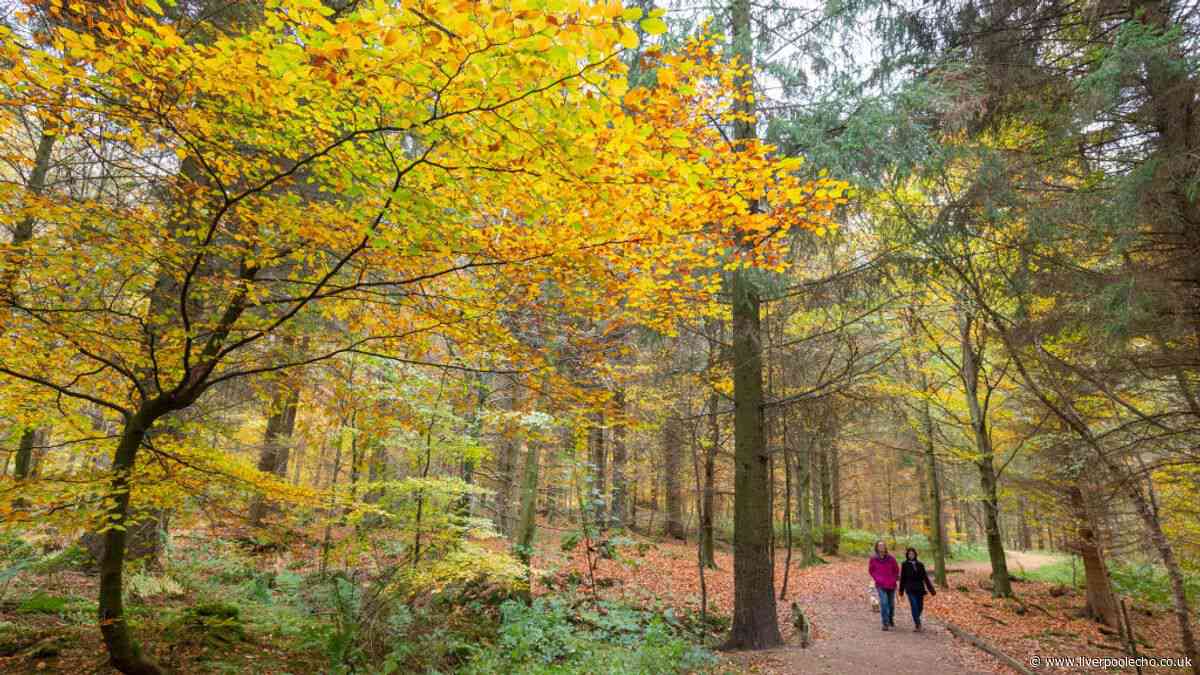 Parkdean slashes cosy pet-friendly autumn breaks from £99