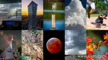 Photo of the Month poll: Vote for the best viewer photo of August
