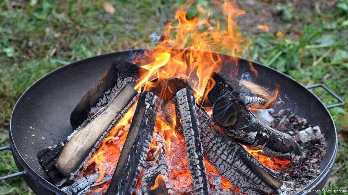 Flammenspiel: Nicht jedes Holz gehört in die Feuerschale